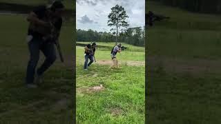 Tactical movement with AR15. #shorts #shortvideo