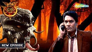 Jungle में Abhijeet का सामना हुआ Evil से ??   BEST OF CID  सीआईडी  07 February 2024