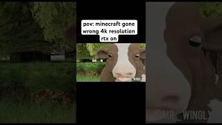 pov  minecraft gone wrong 4k resolution rtx on