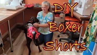 DIY Boxer Shorts Puppy PeriodSanitary Pants Homemade Nappy Diaper for your Female Dog in Heat