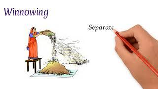 Methods of separation  Handpicking  Threshing  Winnowing  Sieving  Learn to Remember