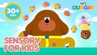 Hey Duggee Summer Sensory ️  Sensory for Kids  35+ Minutes of ASMR for Children  Hey Duggee