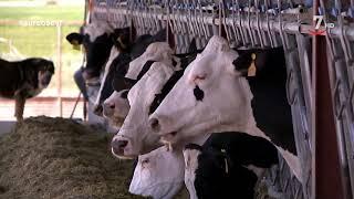 Ganadería Hermanos Jiménez SPC una granja de leche comprometida con el medioambiente