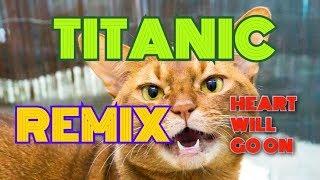 Титаник -  Heart Will Go On  кошачий remix 