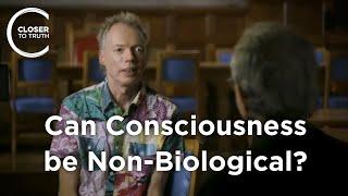 Andy Clark - Can Consciousness be Non-Biological?