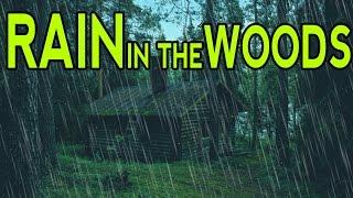  RAIN SOUNDS IN THE WOODS  Ambient Noise For Sleep Relaxation and Studying  @Ultizzz day#9