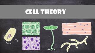 Cell Theory  Cell Biology