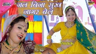 सावरिया जल बिना सूखे नागर बेल Neelu Rangili Song  Raju Rajasthani  Asha Parjapat Marwadi Video Son