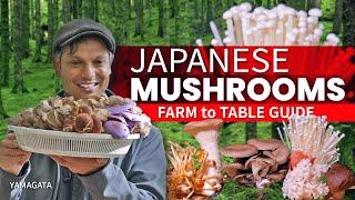 Japanese Mushrooms Farm to Table  Market Guide  ONLY in JAPAN