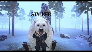 STALKER ONLINE-ВОПРОСЫ И ОТВЕТЫ  