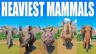 Heaviest Terrestrial Mammals Speed Races in Planet Zoo included Black Rhinoceros Elephant