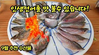 전어 통사시미회에 토치질하면 인생회가 됩니다