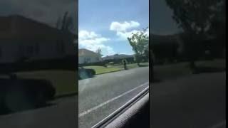 Man steals police car during a traffic stop - New Zealand