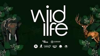 WildLife Interactive Media Exhibition 2017