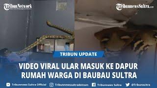 Video Viral Ular Masuk ke Dapur Rumah Warga di Baubau Sultra Damkar Segera Lakukan Evakuasi