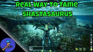 Shastasaurus The Real Way to Tame