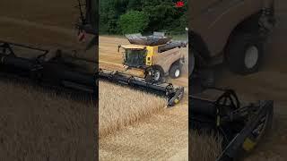 New Holland Combine Harvester #ikadanysuwanto