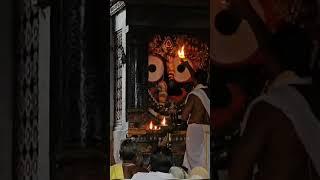 Today Shree Jagannath Mangal Aarti darshan at Jagannath dham puri️#shorts #shortvideo #reels