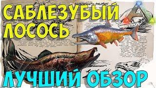 Саблезубый лосось Sabertooth Salmon в АРК. Лучший обзор приручение и особенности  в ark