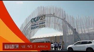 COP 27 Quelles sont les enjeux de cette édition? - BBC Actu Jeunes