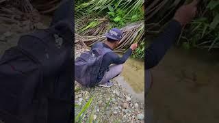 Mancing disungai air pegunungan lagi #86  #KOOKIKO