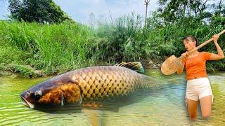 full videos fish trap girl catches fish and harvests dozens of kilograms every day