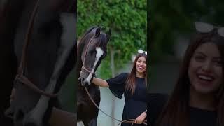 Indian Girl love horse #horsegirl #punjab #horse #ghoda #horselover #ghodi #horses #shorts #viral