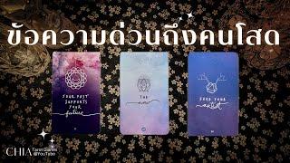 Pick a card ข้อความด่วนถึงคนโสด