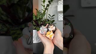 Hamster blind boxes  #hamsters #blindbox #blindbag #mysterybox #unboxing