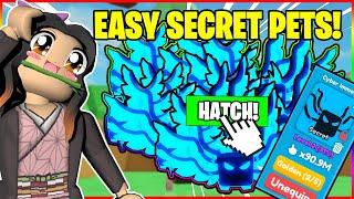 REBIRTH CHAMPIONS X - HOW TO HATCH *SECRET PETS* EASILY OVERNIGHT - ROBLOX