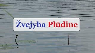 Žvejyba Plūdine - Gabrielius Ser