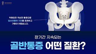 골반통증 살면서 한번 쯤 겪지 않으세요?