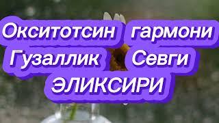 Окситотсин гармони канчалик мухим эканлигини   билармидингиз