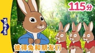  彼得兔和朋友们 40集 Peter Rabbit and Friends 中文字幕  Classic  Chinese Stories for Kids  Little fox