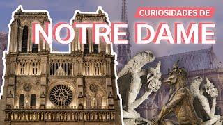 20 Curiosidades de Notre Dame   La catedral más famosa de París