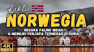 Keajaiban Norwegia Terowongan Terpanjang di Dunia dan Fenomena Alam Uniknya