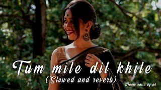 Tum mile dil khile Slowed and reverb