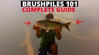 How To Master Brushpile Fishing for Bass COMPLETE GUIDE TO BRUSHPILE FISHING updated