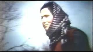 MELİKŞAH 1969 Cüneyt Arkın-Nilüfer-Cihangir Gaffari