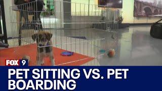 Pet sitting vs. pet boarding facilities Advice from the animal humane society