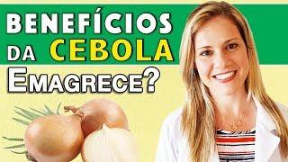 Benefícios da Cebola - Para Que Serve? Emagrece? E o Chá? DICAS