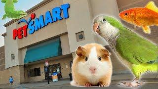 EXPLORING PETSMART  ANIMAL FRIENDS EVERYWHERE