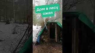 Дом в лесу своими руками