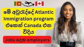 කැනඩා PR ගන්න ලේසි Atlantic Immigration Program Jobs දෙන employers for students and workers