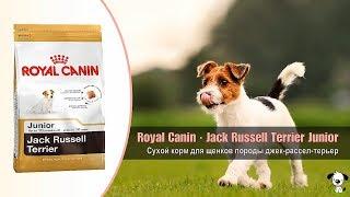 Сухой корм для щенков породы джек-рассел-терьер · Royal Canin Jack Russell Terrier Junior