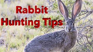 *EASY* Jack Rabbit Hunting