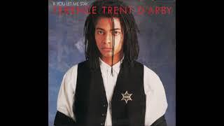 Terence Trent DArby ‎– If You Let Me Stay Extended Version **HQ Audio**