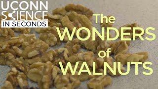 Science In Seconds The Wonders of Walnuts