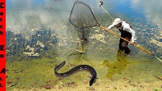 CATCHING the BLACK FISH **BLIND Mystery GIANT of the POND**