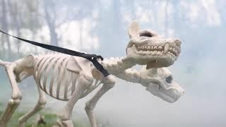 Animated Two-headed Skeleton Dog  Grandin Road
